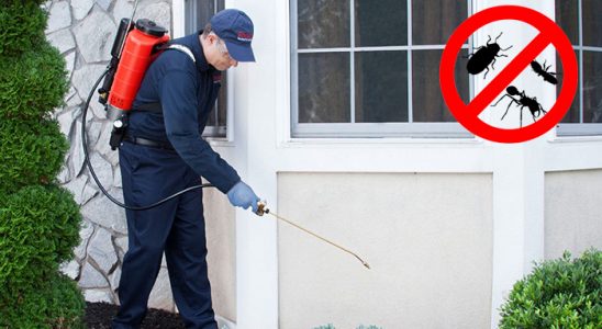 İbradı Hamam Böceği İlaçlama böcek ilaçlama ve haşere kontrolü — ilaclama-tr.com